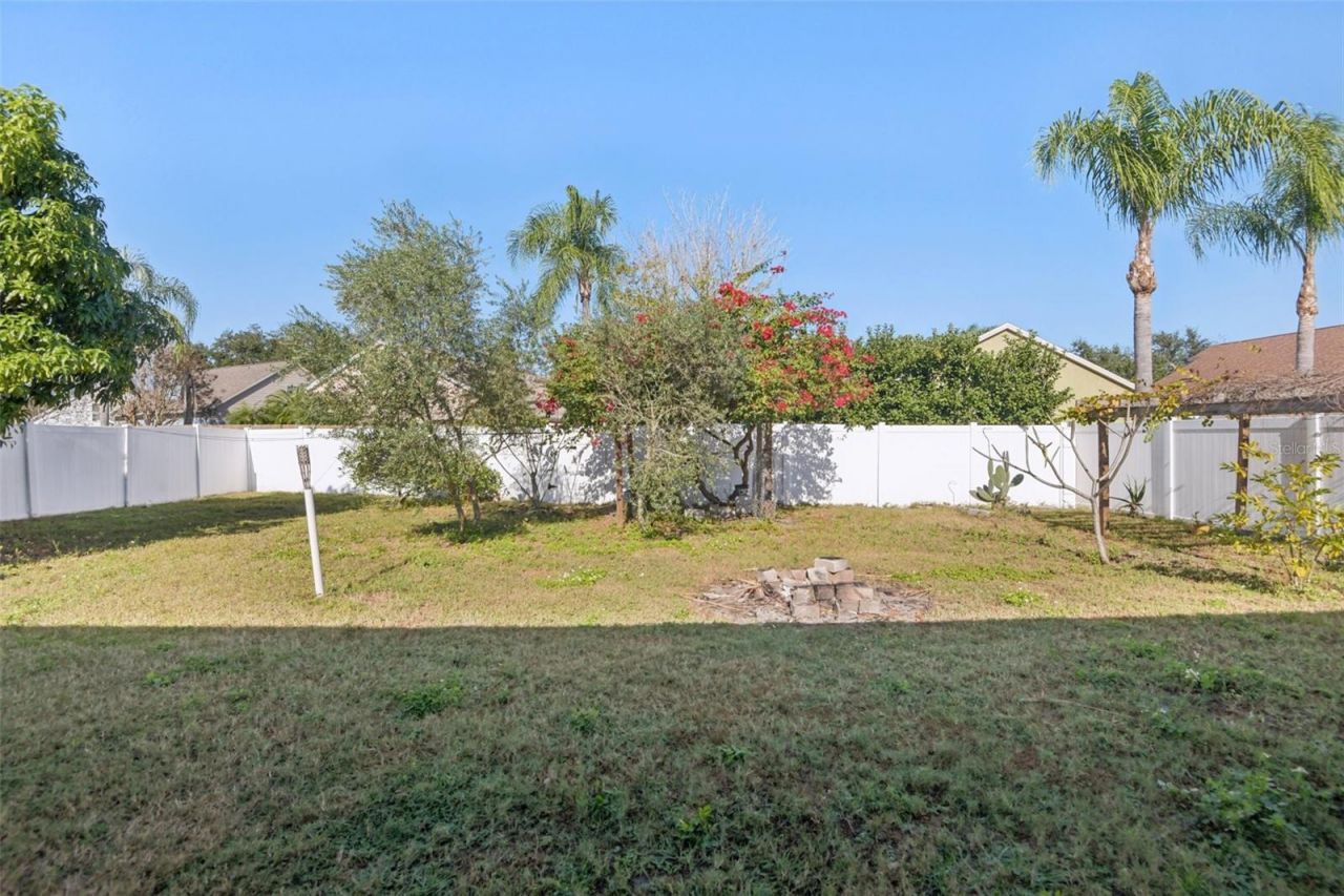 24311 Branchwood Court, Lutz, FL 33559 Photo