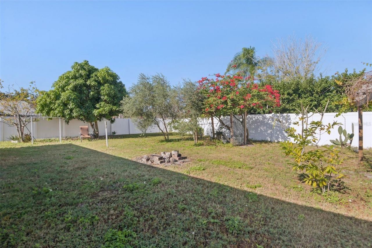 24311 Branchwood Court, Lutz, FL 33559 Photo