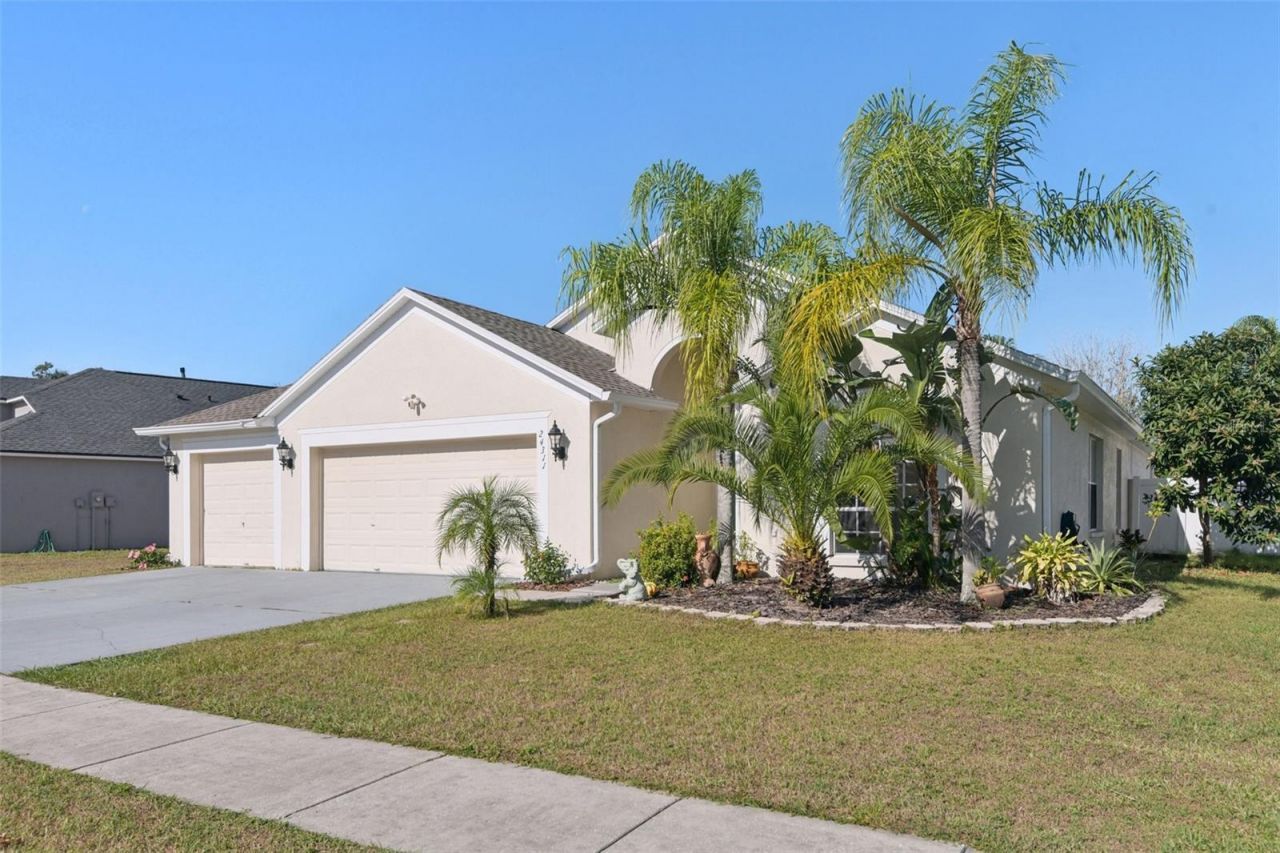 24311 Branchwood Court, Lutz, FL 33559 Photo