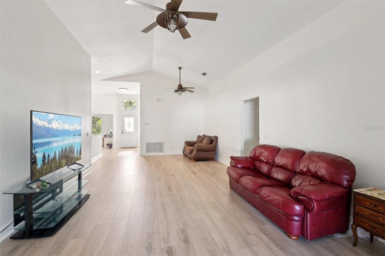 24311 Branchwood Court, Lutz, FL 33559 Photo