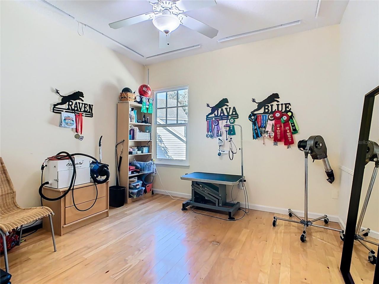 1101 Banks Rose Court, Celebration, FL 34747 Photo