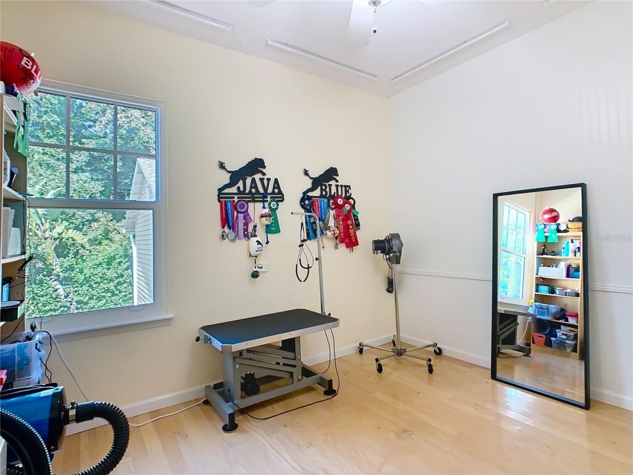 1101 Banks Rose Court, Celebration, FL 34747 Photo