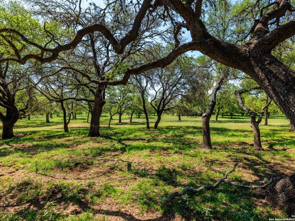 1114 Meadowlark Driv, Fredericksburg, TX 78624