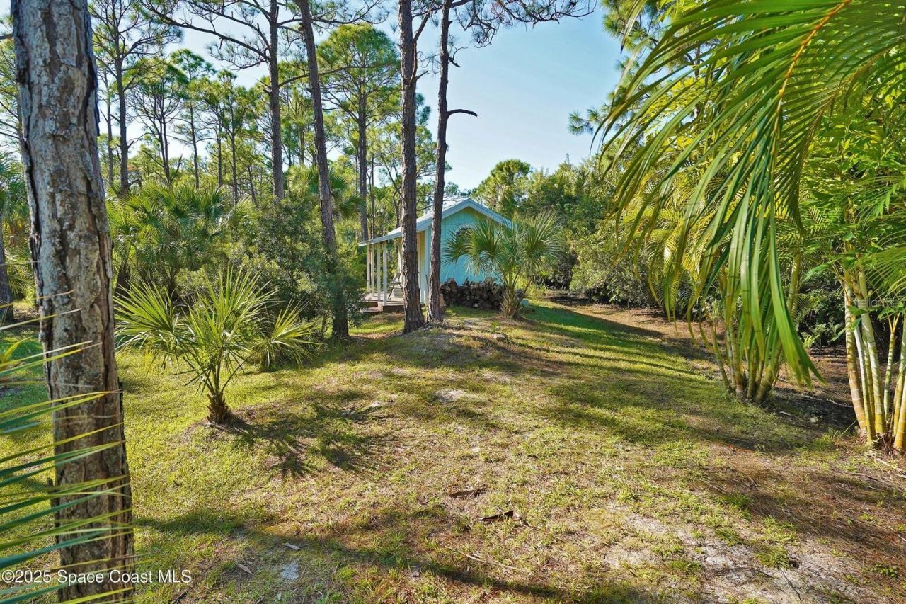 4060 Edisto Drive, Grant, FL 32949 Photo