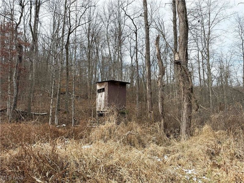 6820 Crane Run Road, Cumberland, OH 43732 Photo 10