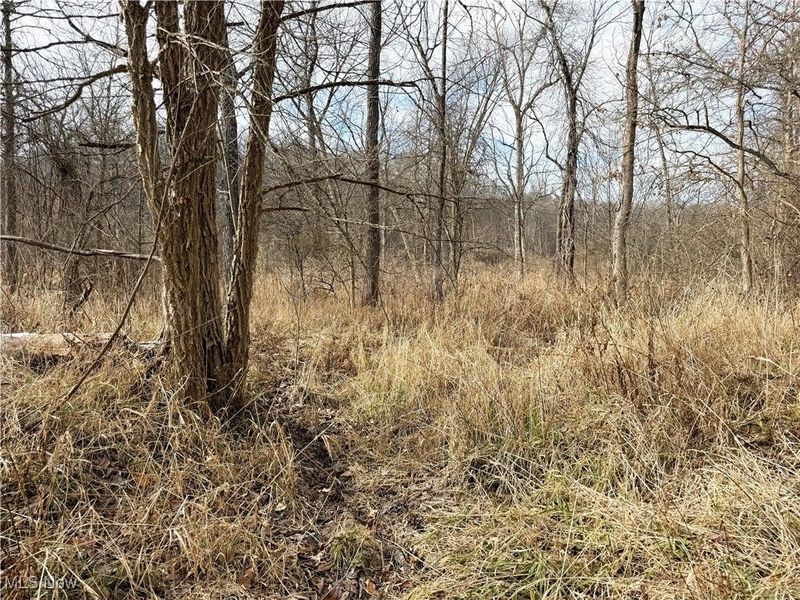 6820 Crane Run Road, Cumberland, OH 43732 Photo 12