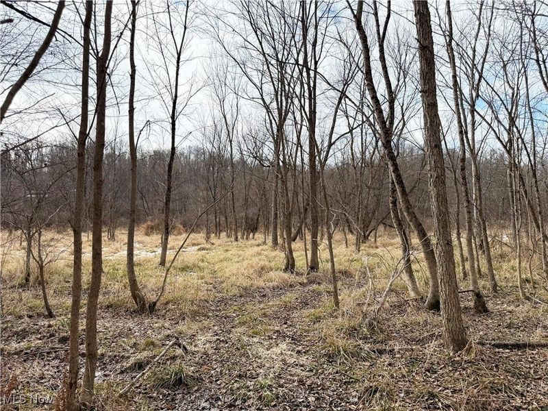 6820 Crane Run Road, Cumberland, OH 43732 Photo 21