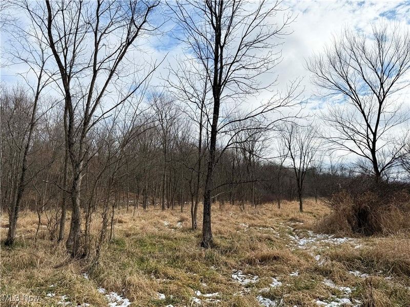 6820 Crane Run Road, Cumberland, OH 43732 Photo 22