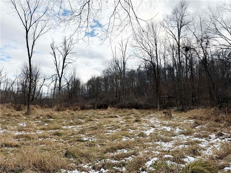 6820 Crane Run Road, Cumberland, OH 43732 Photo 24