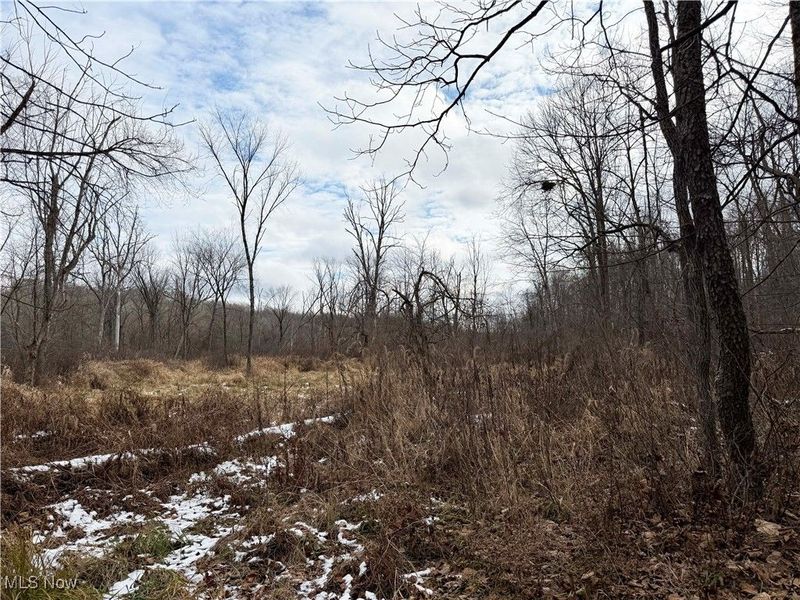 6820 Crane Run Road, Cumberland, OH 43732 Photo 26