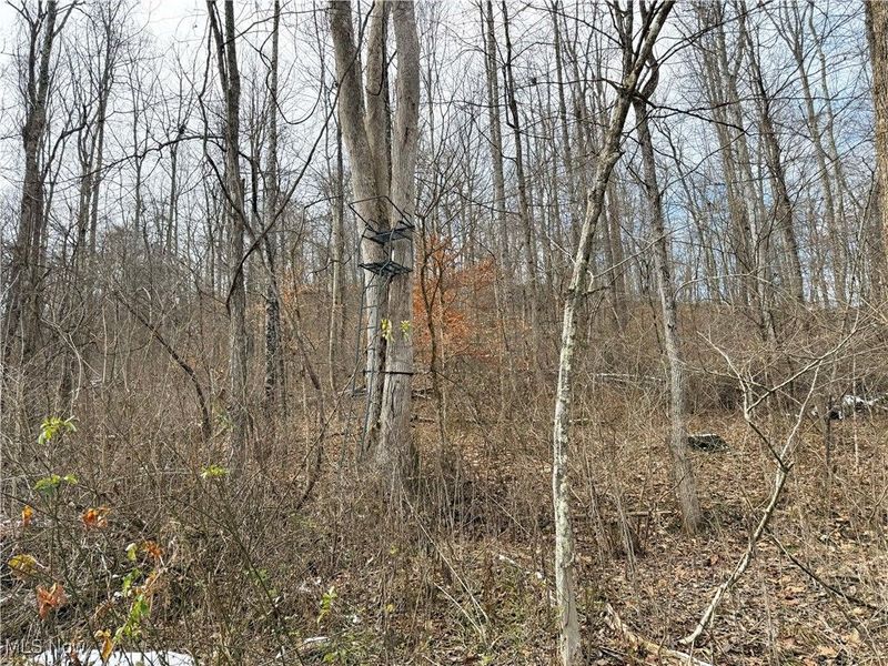 6820 Crane Run Road, Cumberland, OH 43732 Photo 27