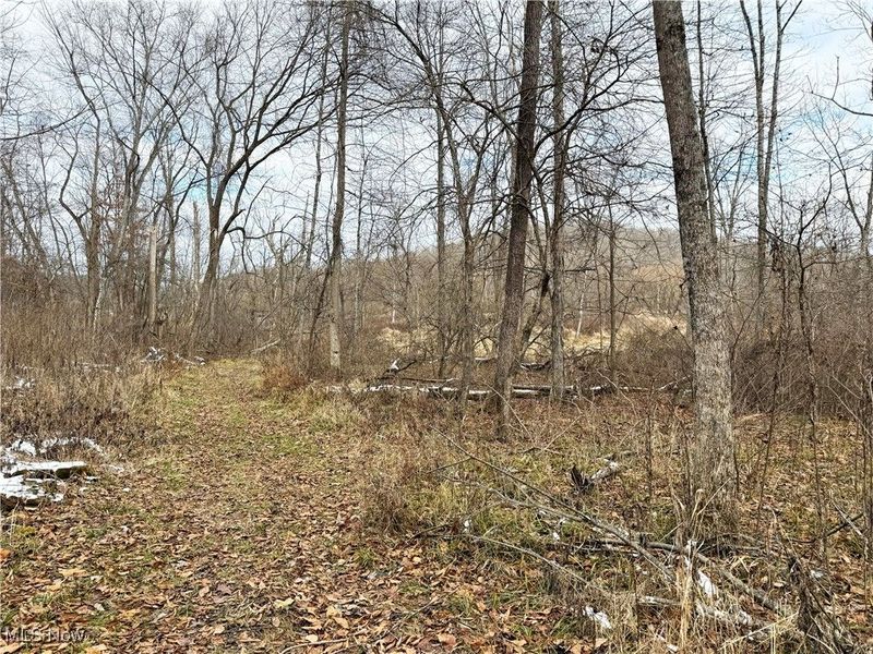 6820 Crane Run Road, Cumberland, OH 43732 Photo 28