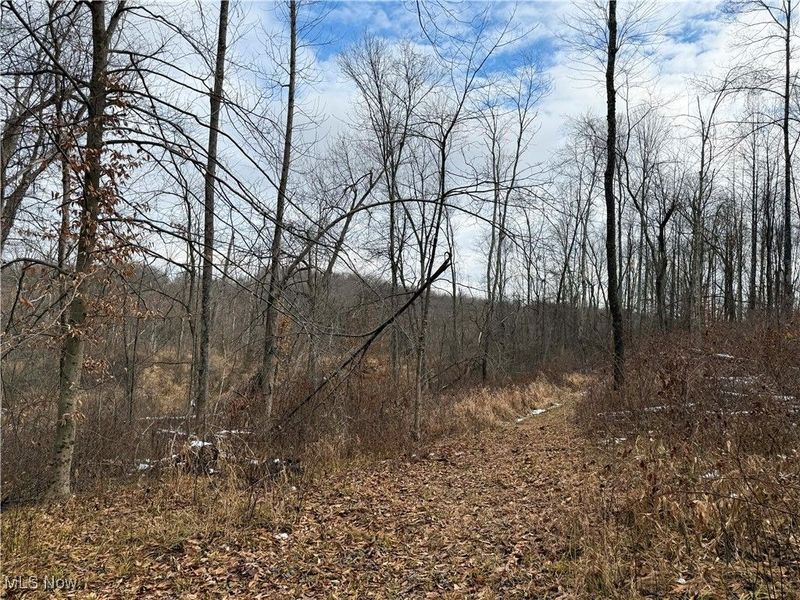 6820 Crane Run Road, Cumberland, OH 43732 Photo 29