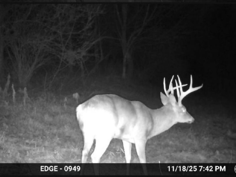 6820 Crane Run Road, Cumberland, OH 43732 Photo 3