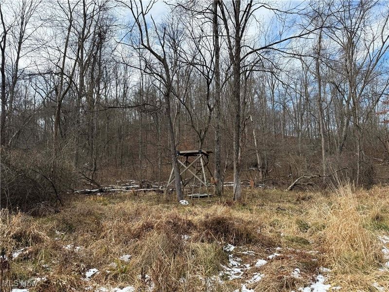 6820 Crane Run Road, Cumberland, OH 43732 Photo 30