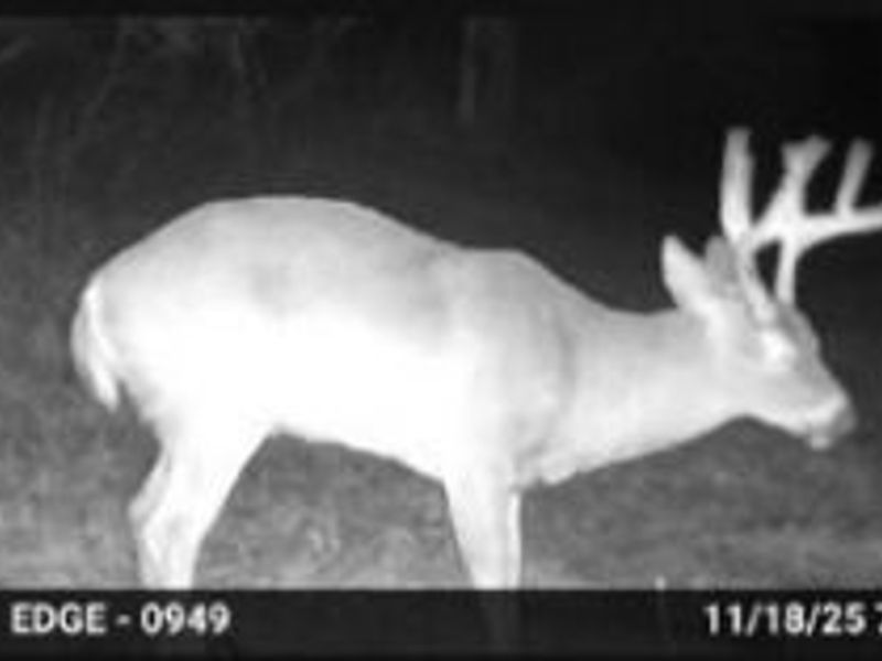 6820 Crane Run Road, Cumberland, OH 43732 Photo 4