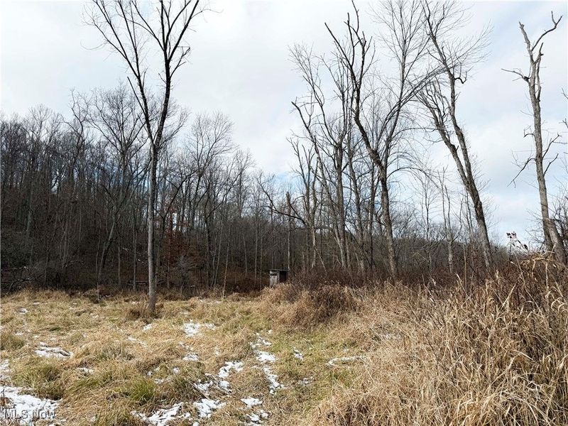 6820 Crane Run Road, Cumberland, OH 43732 Photo 9