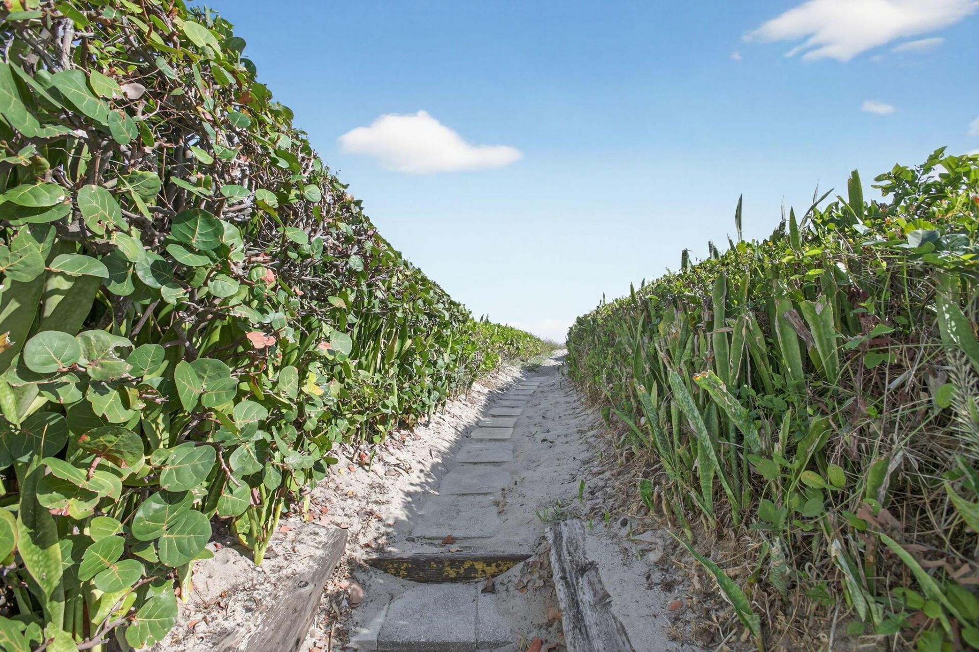 3600 N Ocean Drive, Unit 223, Singer Island, FL 33404 Photo