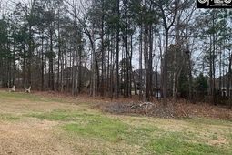 920 Ringbelle Row photo 4