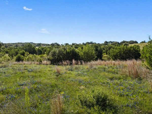 386 Appaloosa RUN, Johnson City, TX 78663