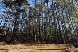 0 Almond Court photo 4