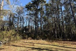 0 Almond Court photo 4