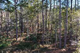 0 Almond Court photo 4