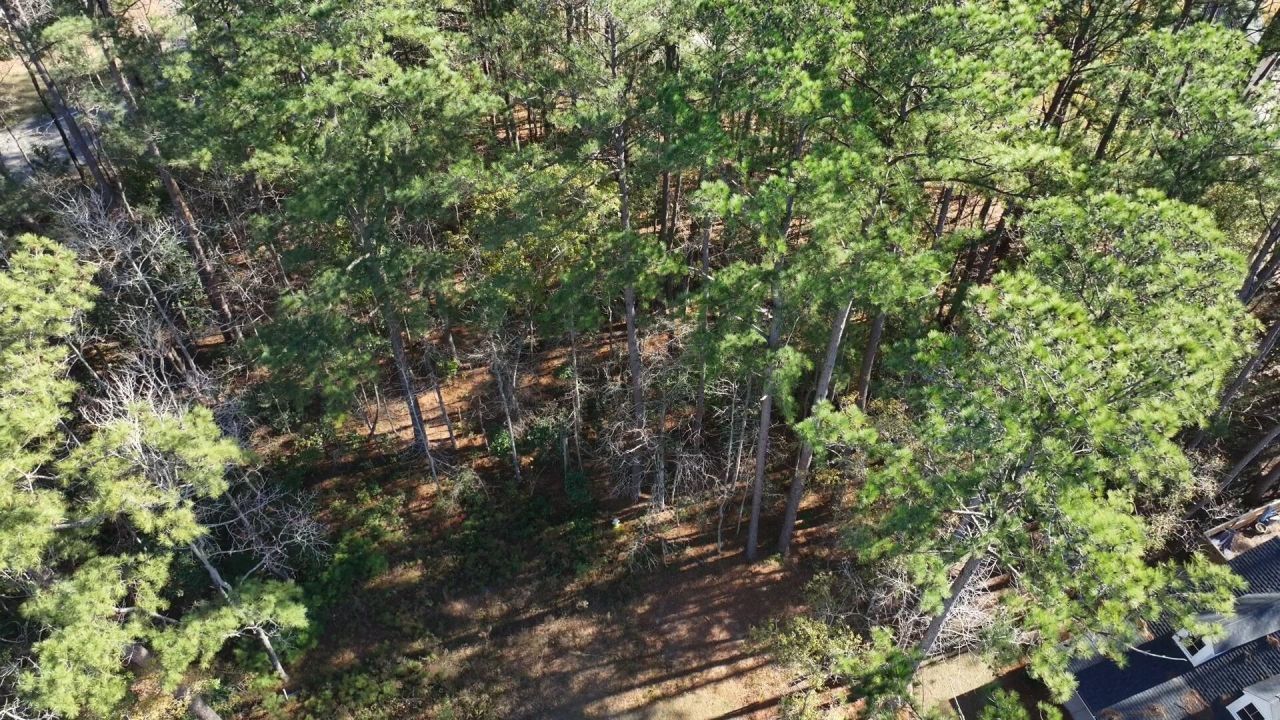 0 Almond Court Photo 6