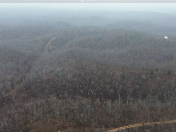 0 Rolling Hills Rd , Lobelville, TN 37097