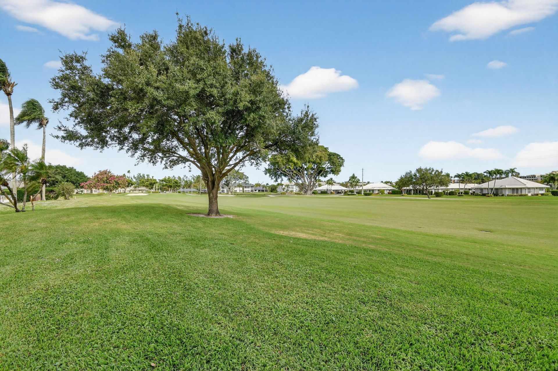 224 Orange Tree Drive, Atlantis, FL 33462 Photo