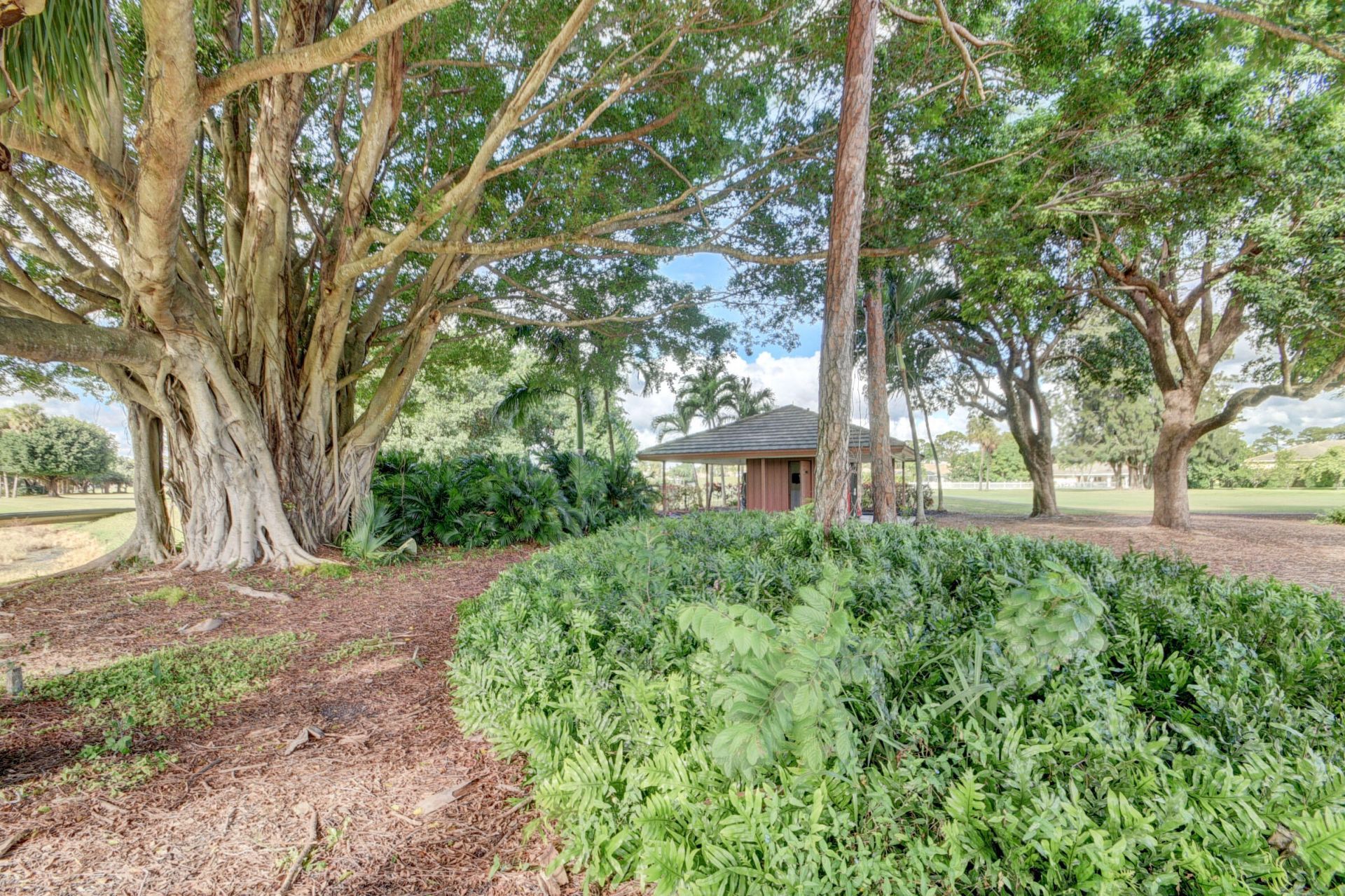 224 Orange Tree Drive, Atlantis, FL 33462 Photo