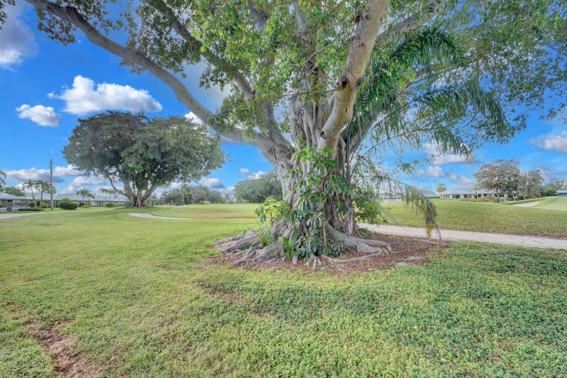 224 Orange Tree Drive, Atlantis, FL 33462 Photo