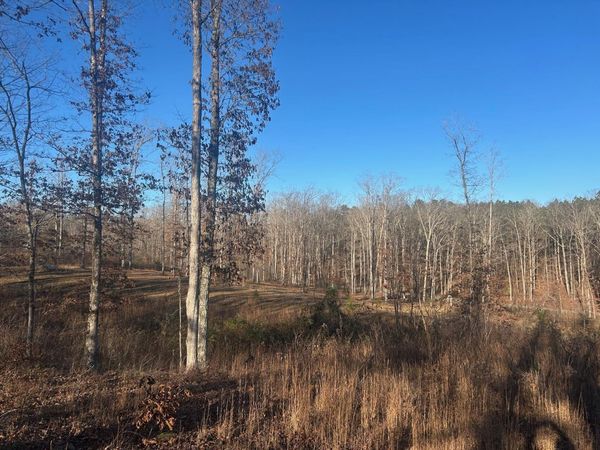 339 BLAND HOLLOW RD RD, Hohenwald, TN 38462