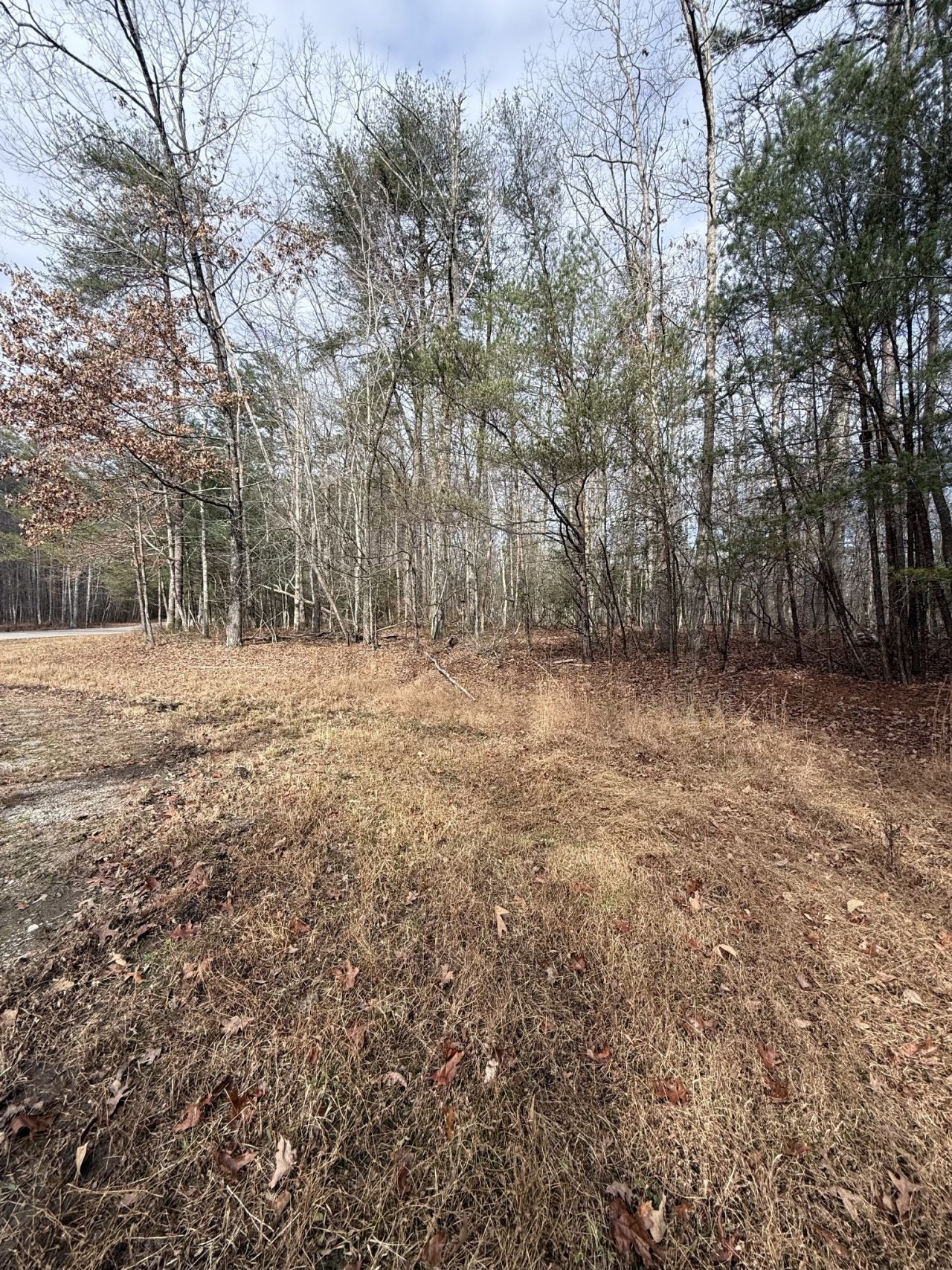 0 Westlake Ave, Monteagle, TN 37356 Main Photo