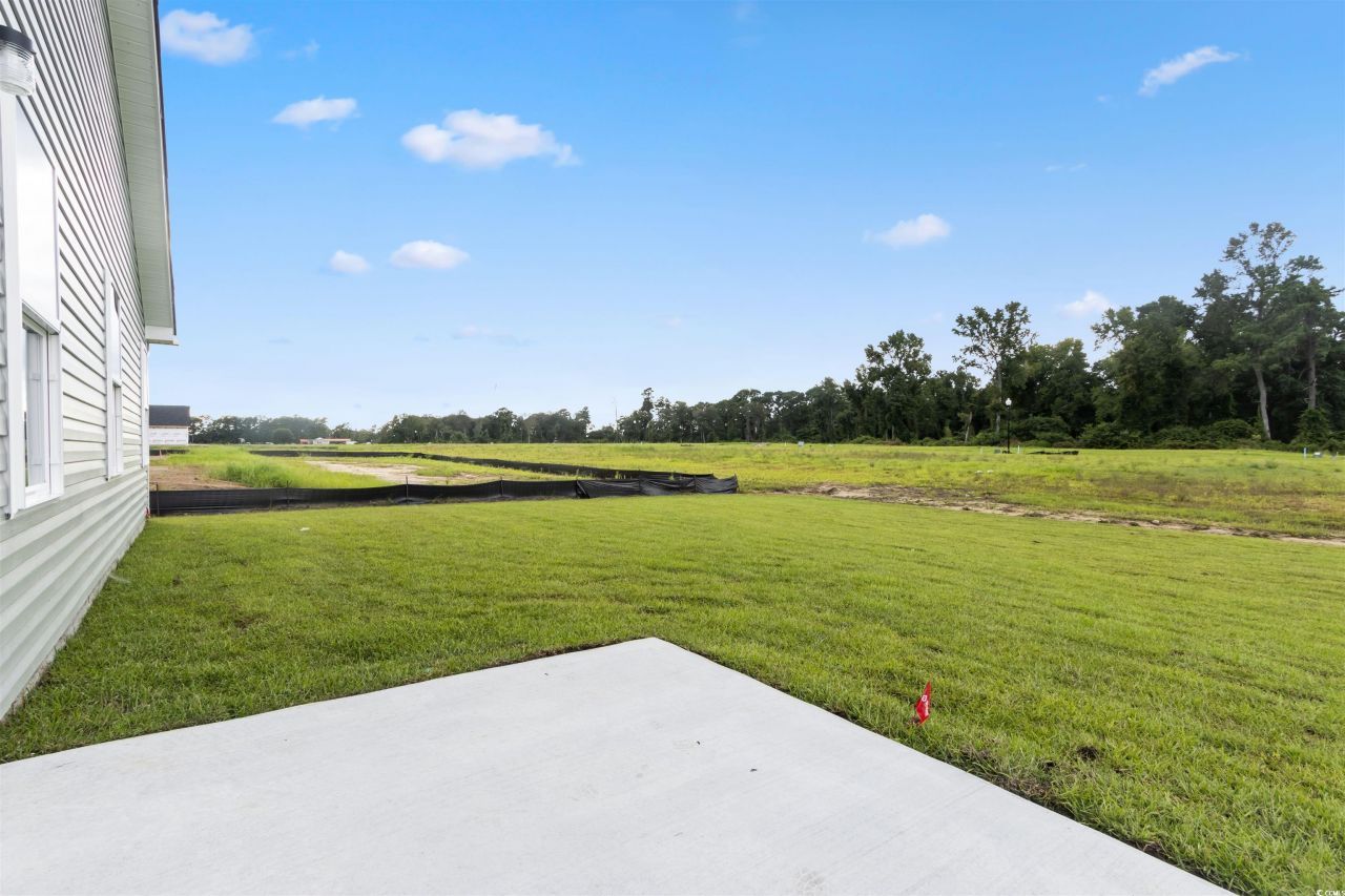 809 Rivas Way Photo 40