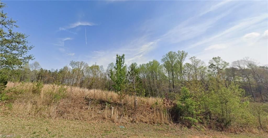 7459 Birchbend Lane, Lot #Lot 3, Lewisville, NC 27023 Main Photo