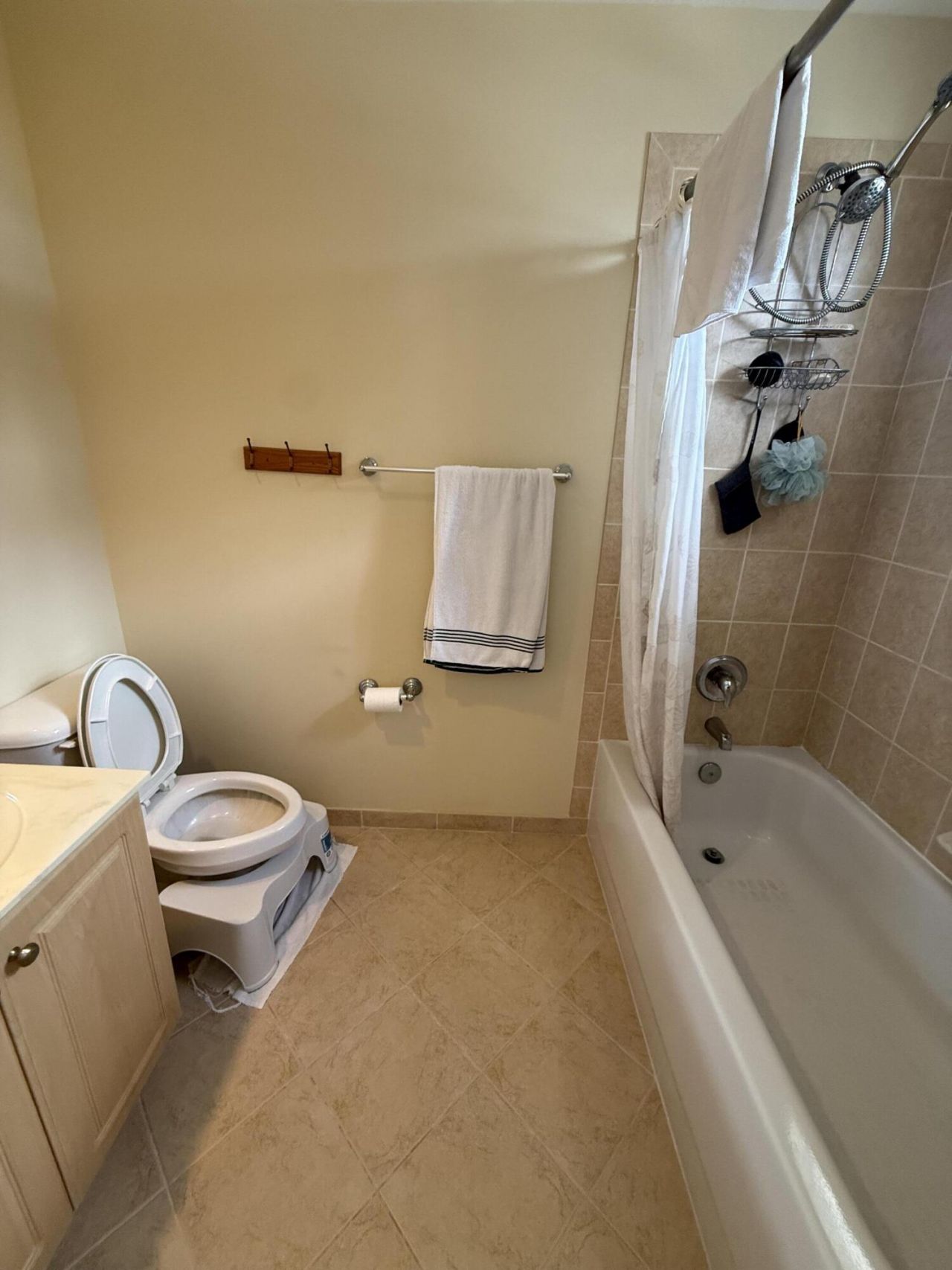 2709 Shaughnessy Drive, Wellington, FL 33414 Photo