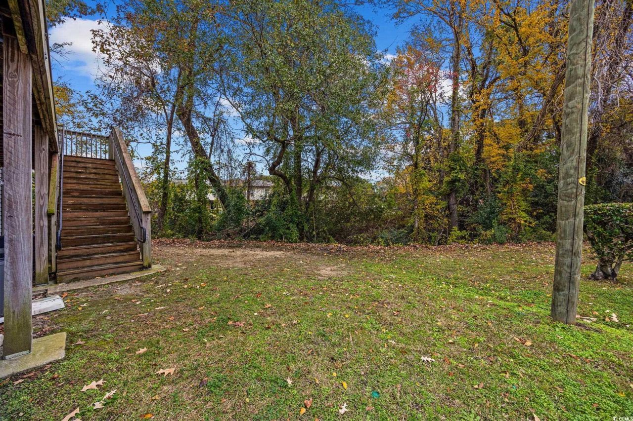 209 Cedar St. Photo 18