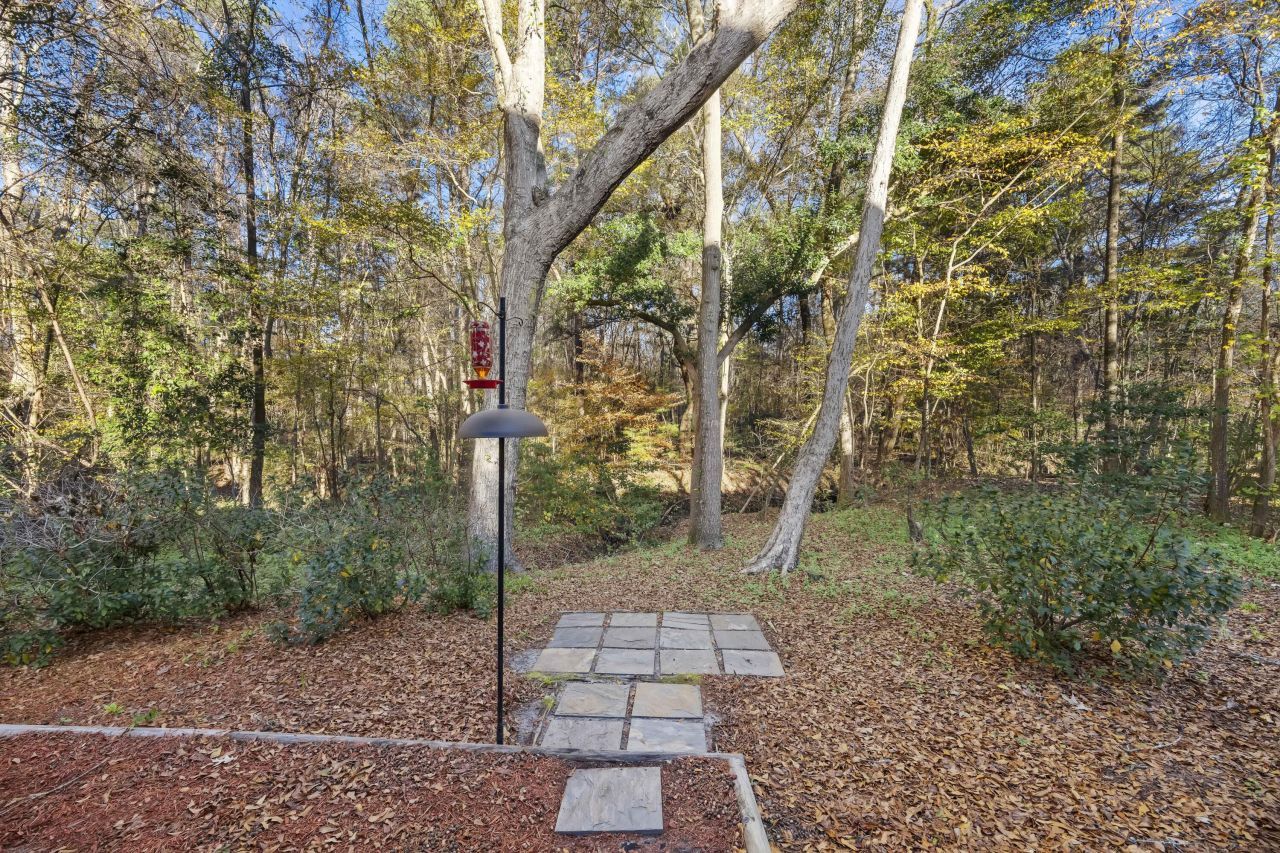 3031 Ellington Drive Photo 36