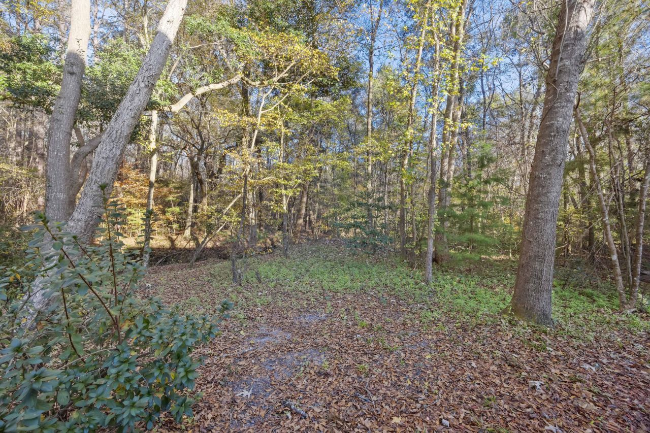 3031 Ellington Drive Photo 37