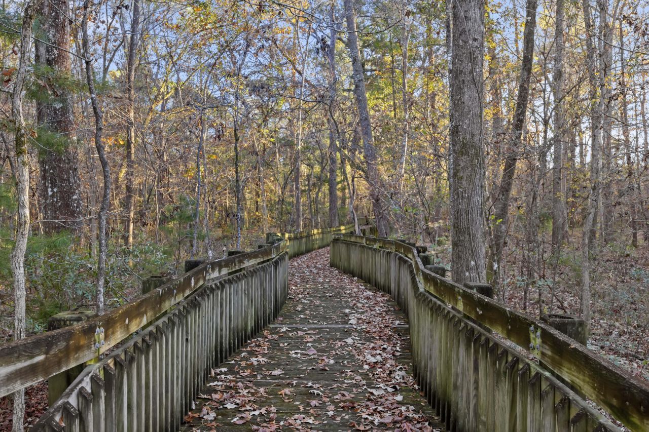 3031 Ellington Drive Photo 40