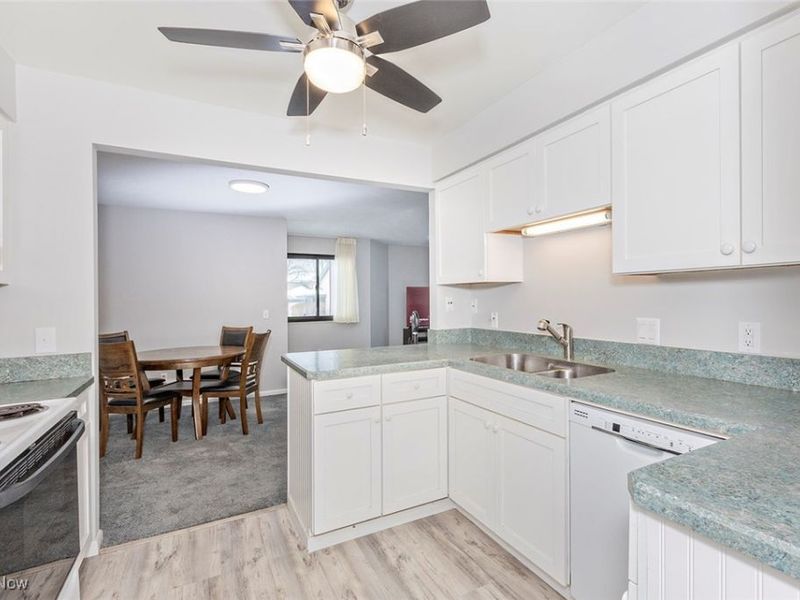 245 Quail Roost, Mayfield Heights, OH 44124 Photo 4