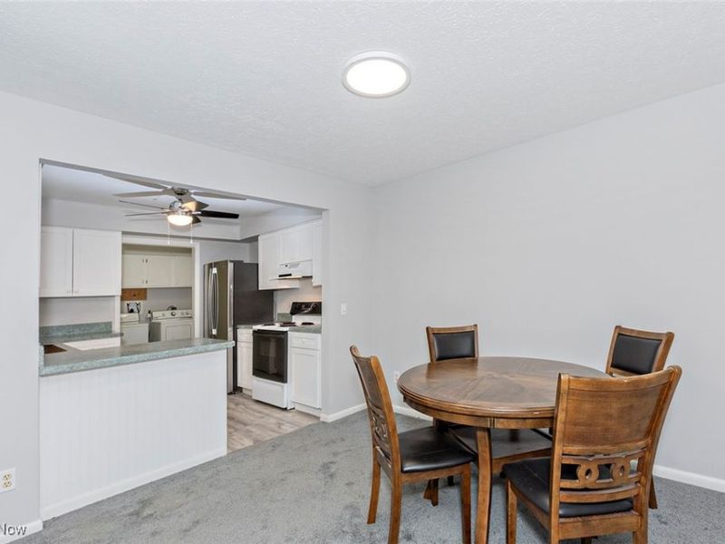 245 Quail Roost, Mayfield Heights, OH 44124 Photo 8