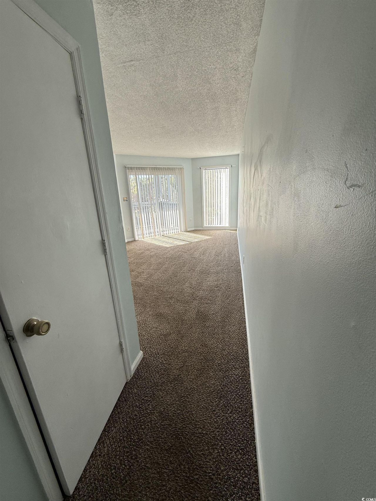 1500 Cenith Dr. Photo 6