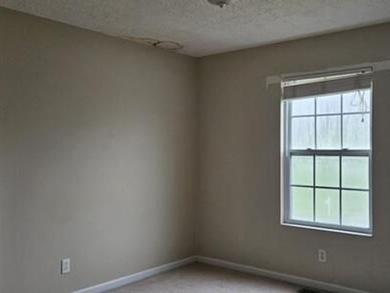 10460 Walnut Ridge Road, Walton, KY 41094 Photo 8