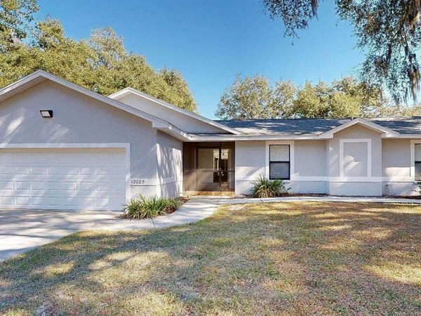 12005 DEERFOOT PLACE, THONOTOSASSA, FL 33592