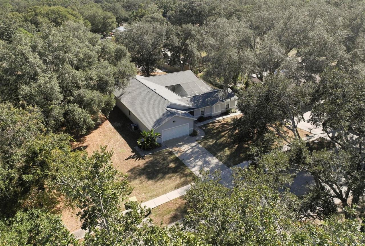 12005 Deerfoot Place, Thonotosassa, FL 33592 Photo