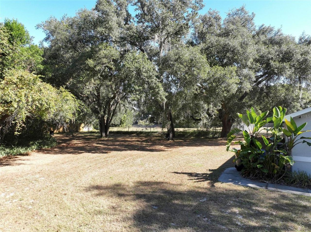 12005 Deerfoot Place, Thonotosassa, FL 33592 Photo