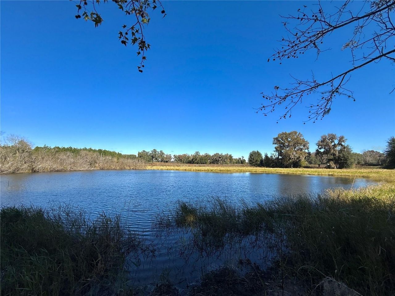 Nw 110th Avenue, Reddick, FL 32686 Photo