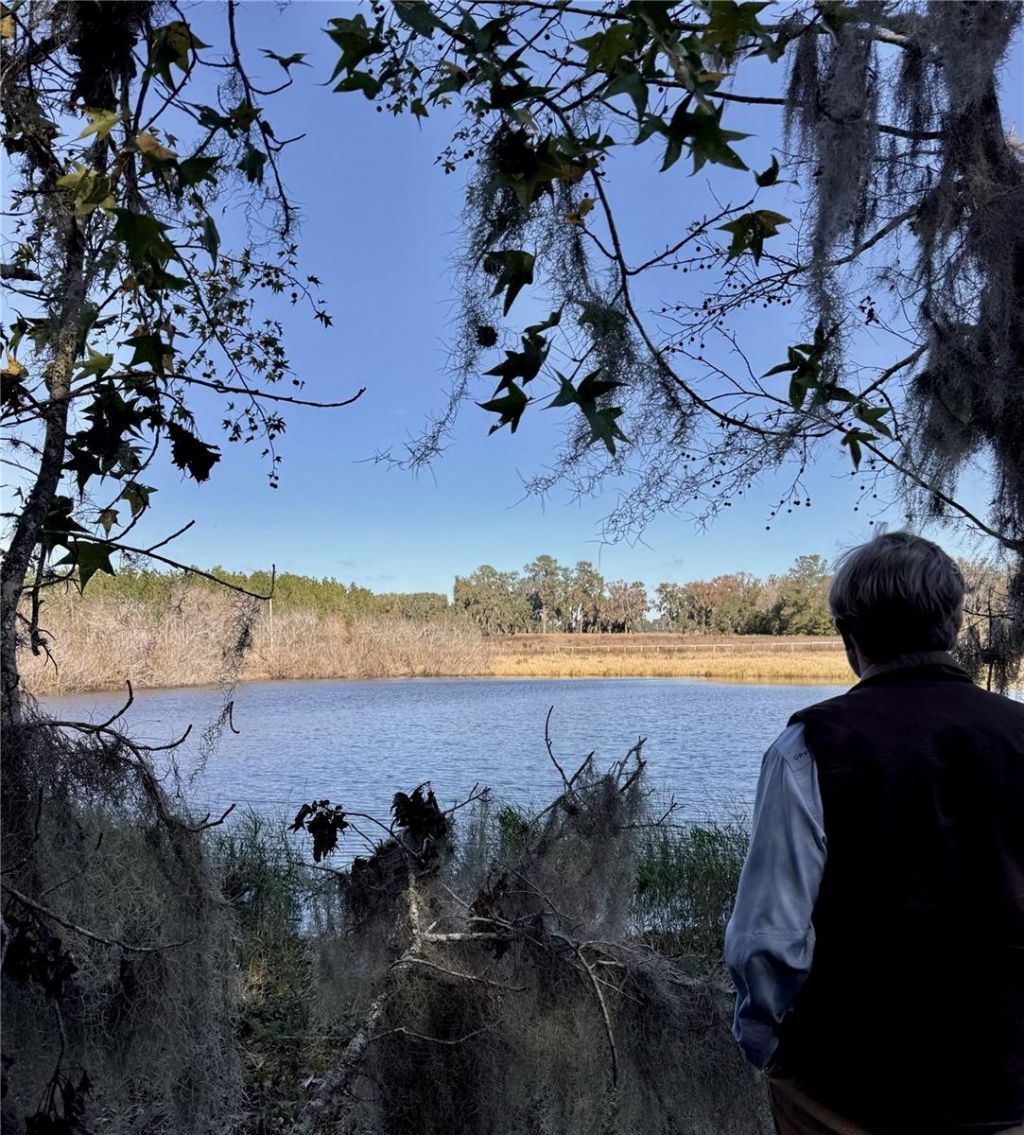 Nw 110th Avenue, Reddick, FL 32686 Photo